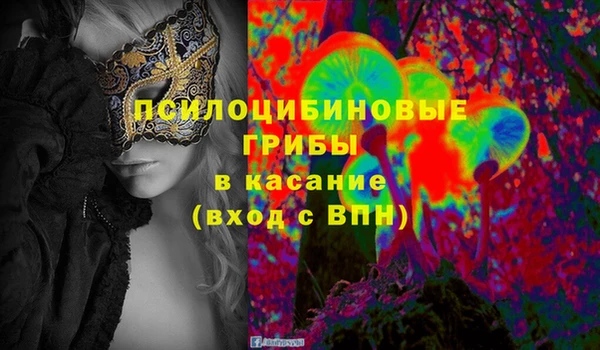 сатива Заводоуковск