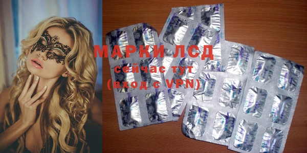 сатива Заводоуковск