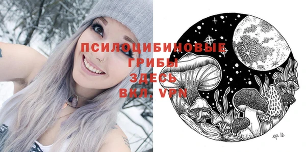 ALPHA PVP Щучье