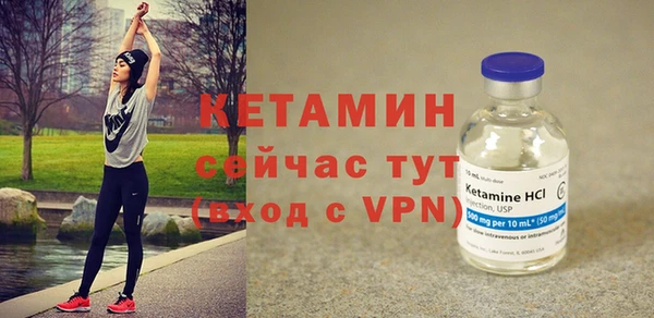 сатива Заводоуковск