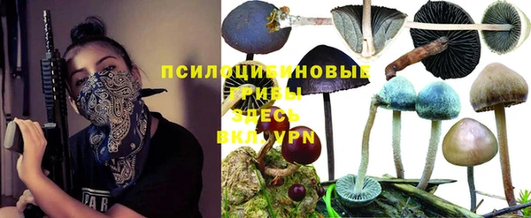сатива Заводоуковск