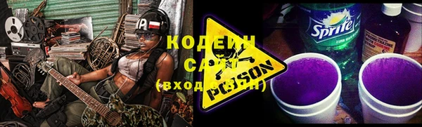 сатива Заводоуковск