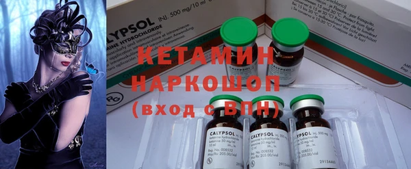 сатива Заводоуковск